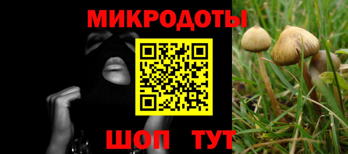 Сызрань  Галлюциногенные грибы Psilocybe  Вход с VPN 